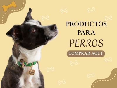 Categoría Perros