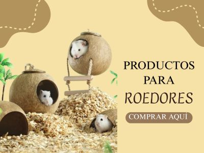 Categoría Roedores
