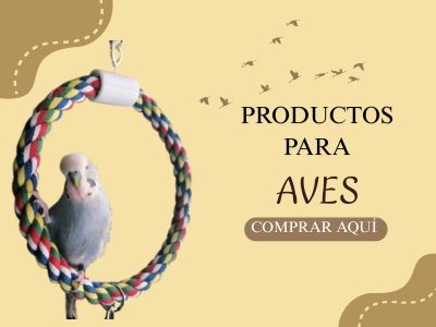 Categoría Aves