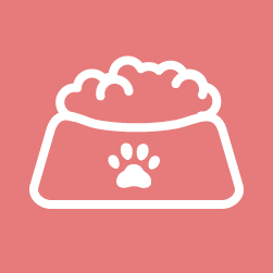 Alimento para perros